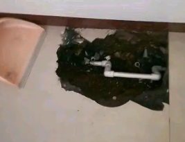 龙湖卫生间测漏水多少钱